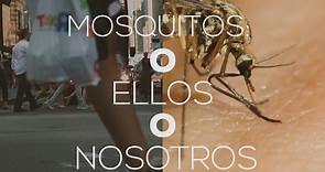 Así sería un mundo sin mosquitos