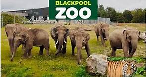 Blackpool Zoo August 2021 Full Tour || Lancashire United Kingdom