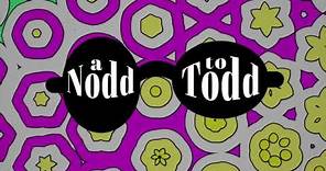 Doug Howard "A Nodd To Todd" @ The Turning Point Piermont NY 4K 60sec