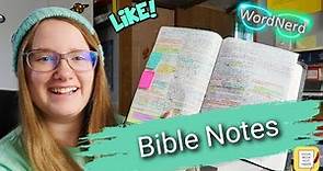 What to Write in your Bible | Types of Bible Study Notes