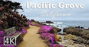 [4K] Pacific Grove - California USA - Coastal Walking Tour