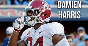 Damien Harris || Alabama Career Highlights || 2015 - 19