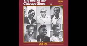 03 - The Junior Wells Chicago Blues Band - Vietcong Blues