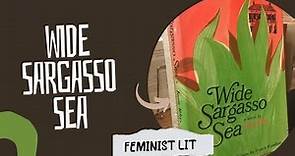 Wide Sargasso Sea by Jean Rhys | NET | SET | Feminist Literature Series