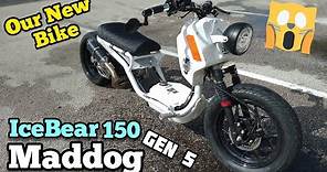Our New Icebear Maddog 150cc Gen 5 - Is that a Scooter? Full Specs