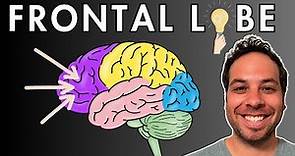 The Frontal Lobe - Location and Function