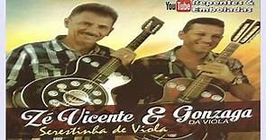 Zé Vicente & Gonzaga da Viola | Repentes