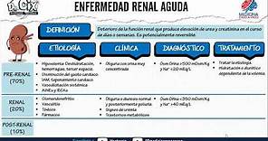 Insuficiencia renal aguda y crónica. GENERALIDADES ft. Doctor Cix