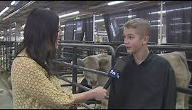 Meet the Grand Champion Steer of the 2024 National Western Stock Show
