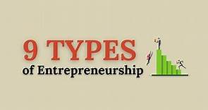 Types of Entrepreneurship: 9 types (Entrepreneur) | BMResearch