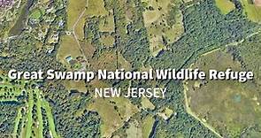 Great Swamp National Wildlife Refuge, New Jersey, USA