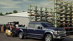 The Ford F-150