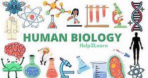 Introduction to A Level Human Biology 🧬