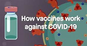 How vaccines work against COVID-19: Science, Simplified