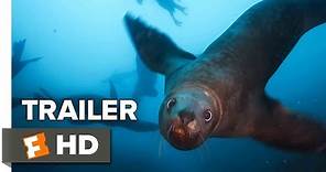 Blue Planet II Trailer #2 - BBC (2017) | Movieclips Trailers