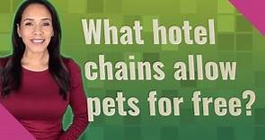 What hotel chains allow pets for free?