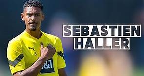 Sebastien Haller | Skills and Goals | Highlights