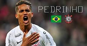 PEDRINHO - Unbelievable Skills, Runs, Assists - SC Corinthians Paulista - 2018