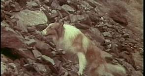 The Magic Of Lassie (1978) TV Spot Trailer