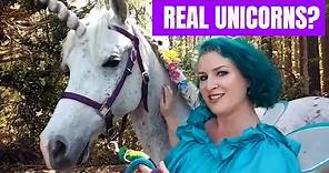 Are Unicorns Real? Unicorn FAQ