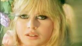 Brigitte Bardot: From Innocence to Iconoclast
