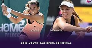 Petra Martic vs. Caroline Wozniacki | 2019 Charleston Open Semifinal | WTA Highlights