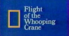 Flight of the Whooping Crane (1984)