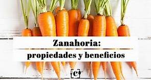 Zanahoria: propiedades, beneficios y valor nutricional