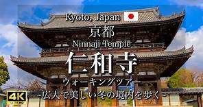 Winter Stroll at Ninnaji Temple in Kyoto, Japan | Travel Guide to Kyoto [4K]