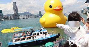 【巨型橡皮鴨】今年訪港又漏氣　突然砰一聲瞬間倒塌 - 香港經濟日報 - TOPick - 新聞 - 社會