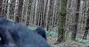 Black Bear Finds and Attacks Our Camera