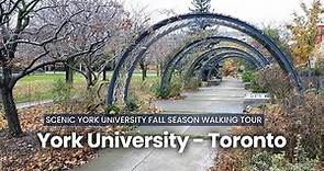 York University Toronto Campus Complete Walking Tour 4K #1: With Picturesque Fall Season Scenery