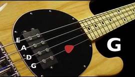 Bass Tuner - Standard Bass Tuning (E A D G) 4 Strings