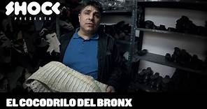 ¿Dónde terminó el cocodrilo del Bronx? - Historias Extraordinarias