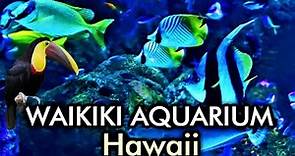Waikiki Aquarium Oahu Hawaii