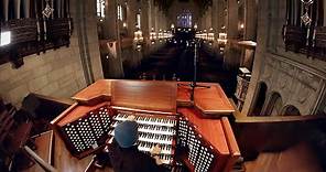 Pipe Organ (An instrument the size of a building)