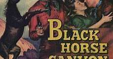 El cañón del corcel negro (1954) Online - Película Completa en Español - FULLTV
