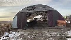 Jan 2021, hog loading ramp and hoop barn tour.