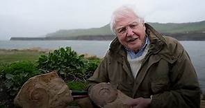 Sir David Attenborough on long process of excavating giant sea monster skull
