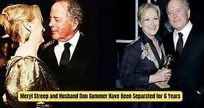 Meryl Streep and Husband Don Gummer Have Been Separated for 6 Years