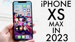 iPhone XS Max In 2023! (Still Worth It?) (Review)