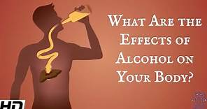 What Are The Effects Of Alcohol On Your Body?