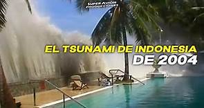 El Tsunami de Indonesia de 2004