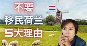 (Eng Subs) 荷兰 | 不要移民荷兰的原因 | Why you shouldn't move to the Netherlands