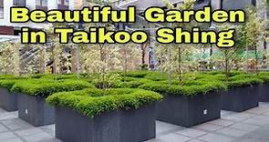 Beautiful Garden in Taikoo Shing
