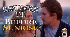 Resumen De Antes Del Amanecer (Before Sunrise 1995) Resumida Para Botanear