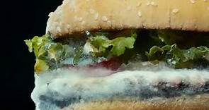 Burger King: Moldy Whopper (Cannes Advertising Festival 2021 Film) (Silver Lion)