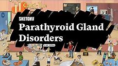 Understanding Parathyroid Gland Disorders & PTH Balance (Part 1) | Sketchy Medical | USMLE Step 1