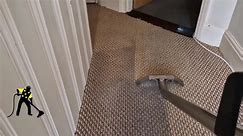 Customer refuses to pay... - Dorset Express Carpet Cleaning