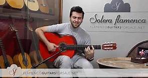 Felipe Conde 2019 Reed. “Hermanos Conde 1975” nº6 flamenco guitar for sale played by Yerai Cortés
